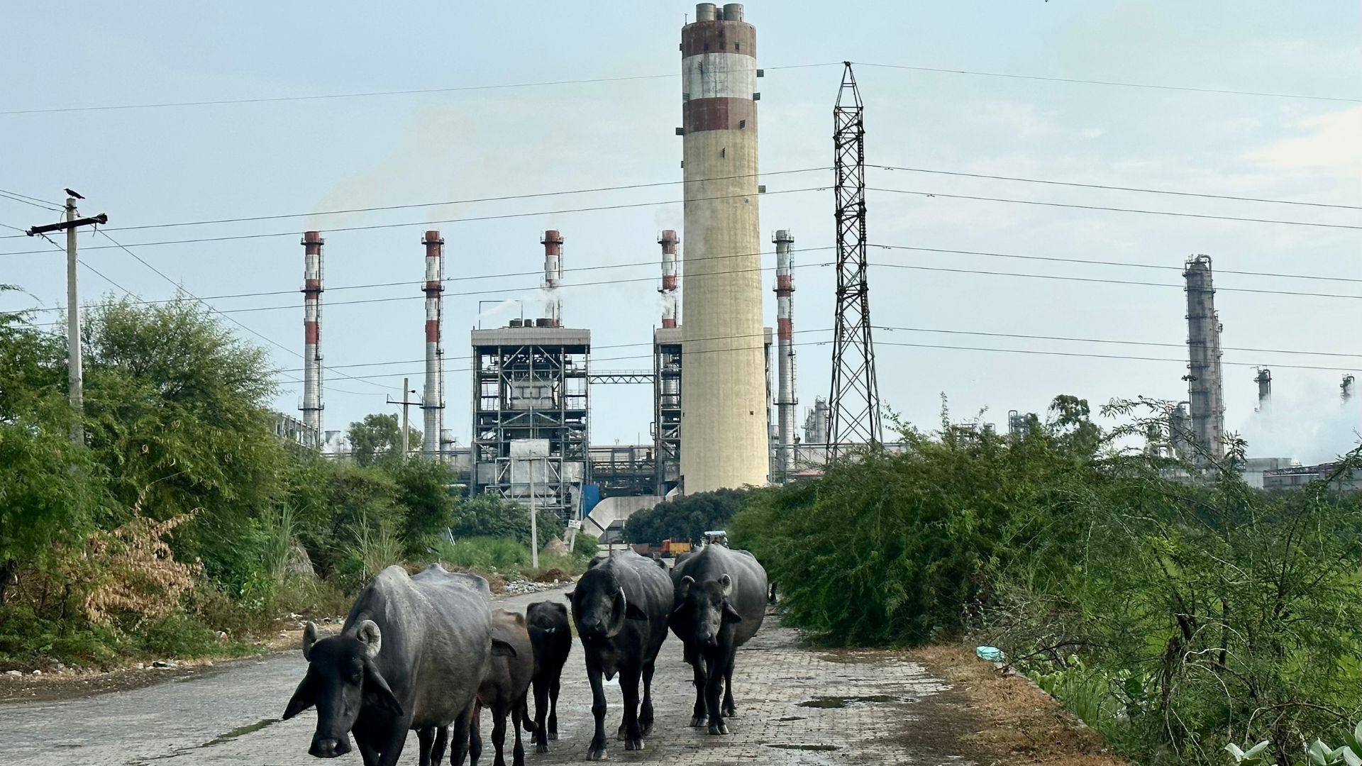 Panipat Refinery: Powering Health and Environmental Catastrophe